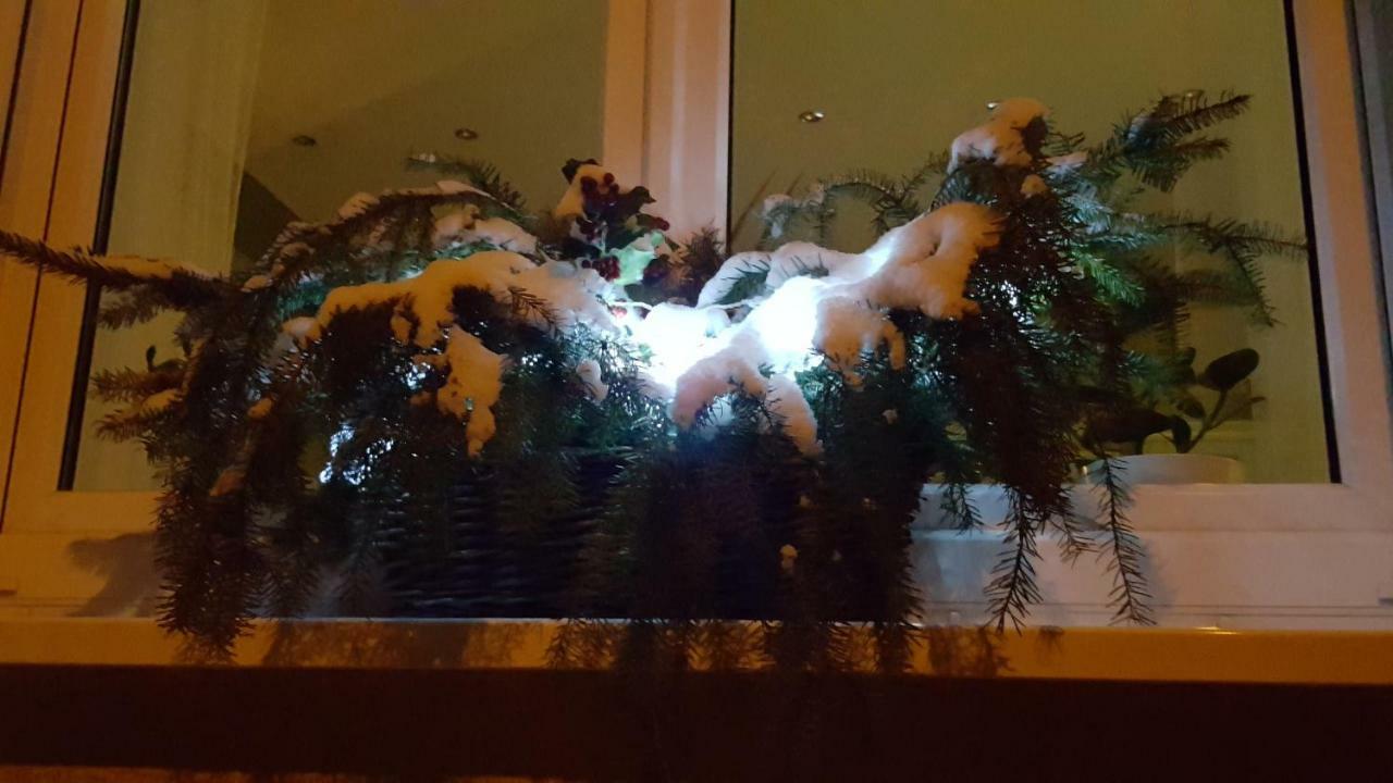 Ferienwohnung Bleicherode Buitenkant foto