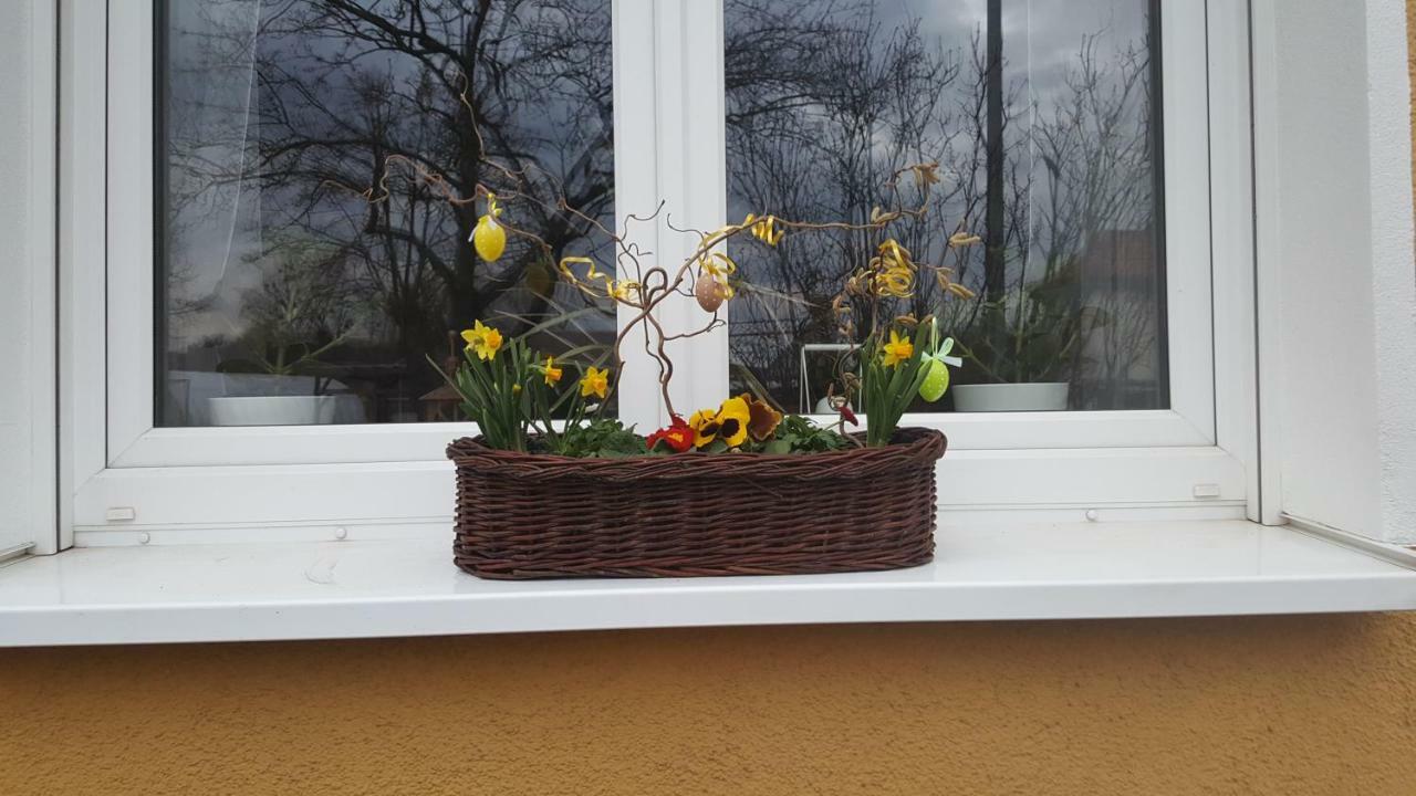 Ferienwohnung Bleicherode Buitenkant foto